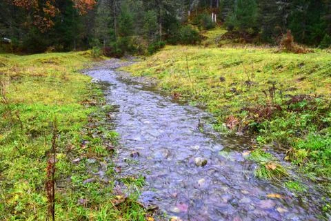 Mountain stream flowing down from the mountains to Teletskoye Lake. The pictu Stock Photos