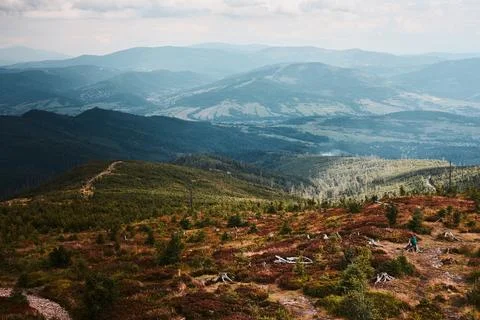 Mountain stream flowing down at rocky wall. Mountain landscape. Natural scene Stock-Fotos