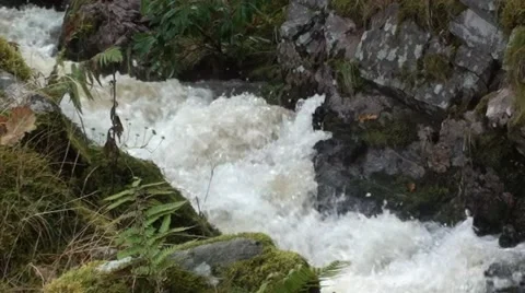 Mountain Stream flowing fast after rainfall Stock Footage 44442651