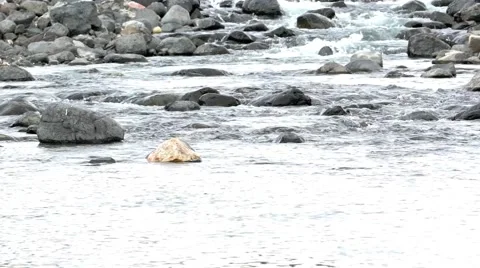 Mountain stream flowing. Stock Footage 61272794