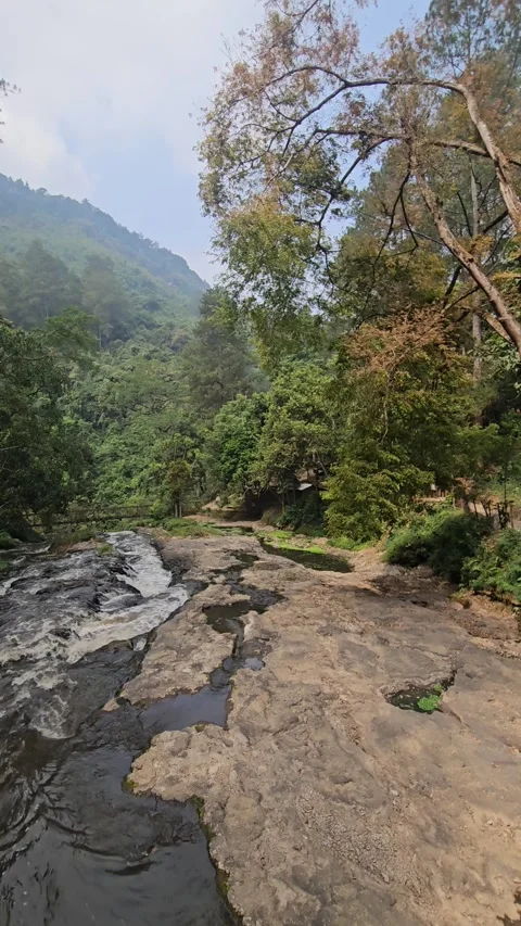 Mountain Stream Flowing Stock Footage 346566412