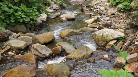 Mountain stream flowing in the forest between the stones Stock Footage 41310713