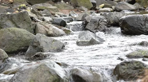 Mountain stream flowing impetuous. Stock Footage 61272934