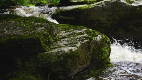 Mountain stream flowing over green moss covered stones. natural sound Stock Footage 323022863