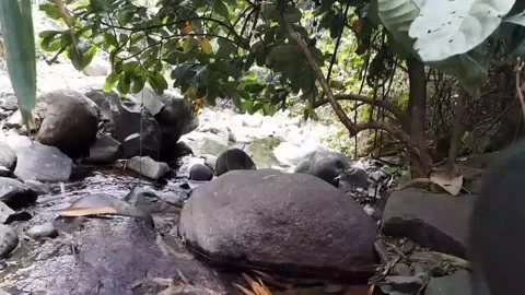 Mountain Stream Flowing Over Large Smooth Rocks in Jungle 4K Видео 343083849
