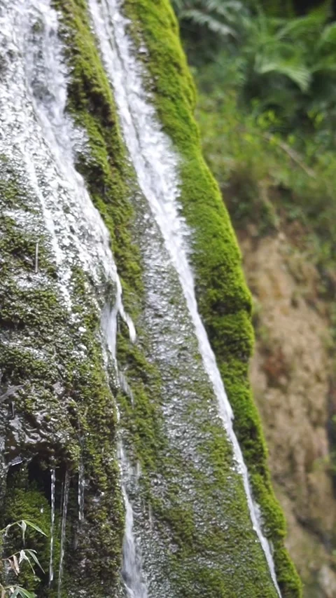 Mountain Stream Flowing Over Mossy Surface - Vertical Footage Stock Footage 343437166