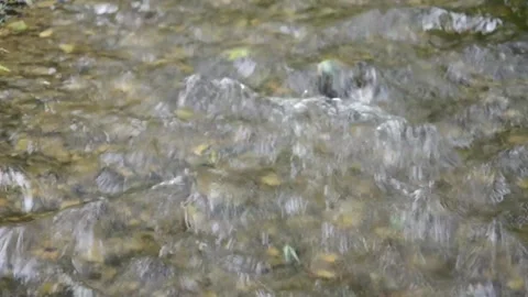 Mountain stream flowing over pebbles, with audio. 库存影片 197997515