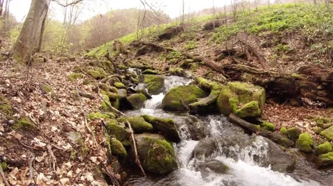 Mountain Stream Flowing Over Rocks in Forest Stock Footage 63962221