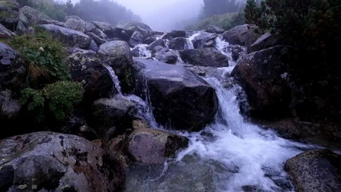 Mountain stream flowing over the rocks on a foggy day Stock-Footage 79674274