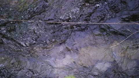 Mountain Stream Flowing over Rocks 02 Stock Footage 81190478