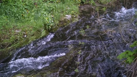 Mountain Stream Flowing over Rocks 04 Stock Footage 81190511