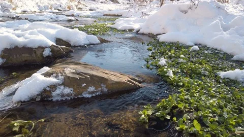 Mountain Stream Flowing Over Rocks In Winter Landscape Video stock 122283572