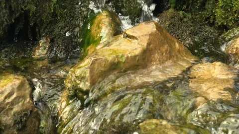 A mountain stream flowing over rocks overgrown with green moss Stock Footage 127020947