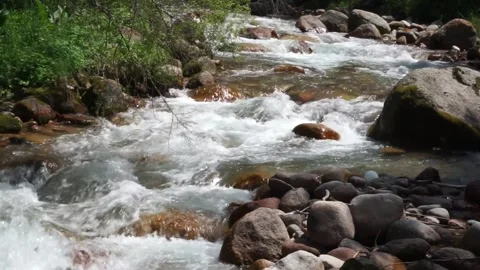 Mountain Stream Flowing Over Rocks - Animated Nature Scene Video stock 307895438