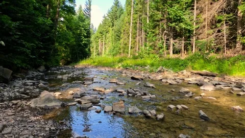 Mountain Stream Flowing Over Rocks Stock Footage 312699996