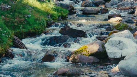 Mountain Stream Flowing Over Rocks Video stock 316193988