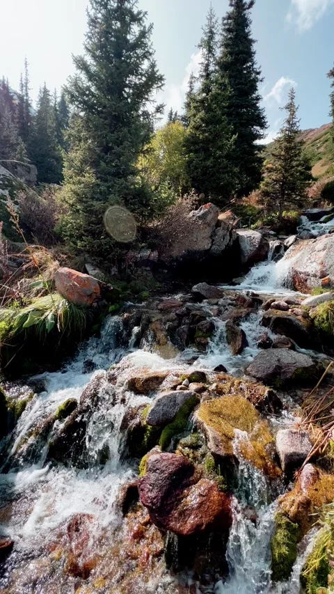 Mountain stream flowing over rocks in forest Stock Footage 326165850