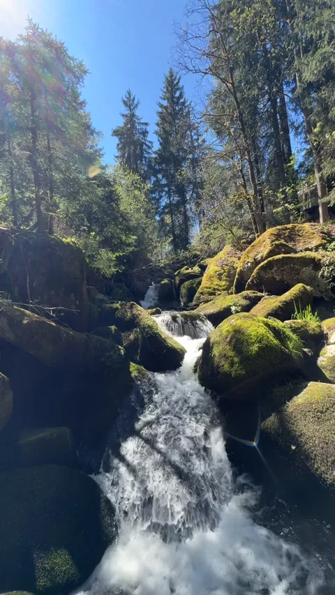 Mountain Stream Flowing Over Rocks In Forest Nature Landscape Stock Footage 334756681