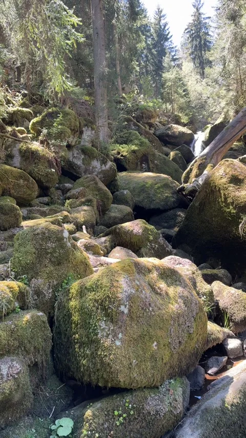 Mountain Stream Flowing Over Rocks In Forest Nature Landscape Stock Footage 334756724