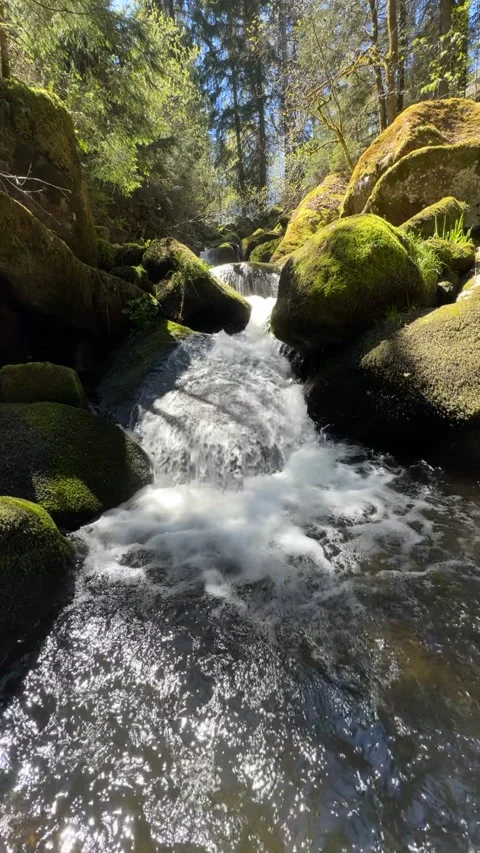 Mountain Stream Flowing Over Rocks In Forest Nature Landscape Stock Footage 334756728