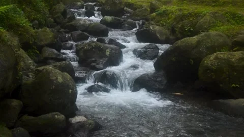 Mountain stream flowing over rocks in Java forest, creating a peaceful natu.. Vídeo Stock 340055779