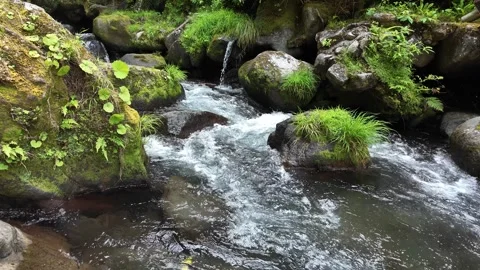 Mountain Stream Flowing over Rocks, Izu, Japan (4K) Stock Footage 341364922