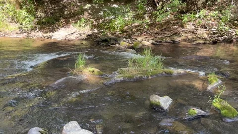 Mountain stream flowing over rocks in a forest. Stock Footage 345092399