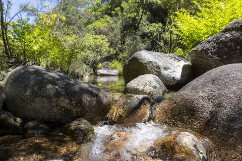 Mountain Stream Flowing Over Rocks Stock Photos