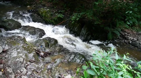 Mountain stream flowing over stone thresholds by green forest Stock Footage 60401273
