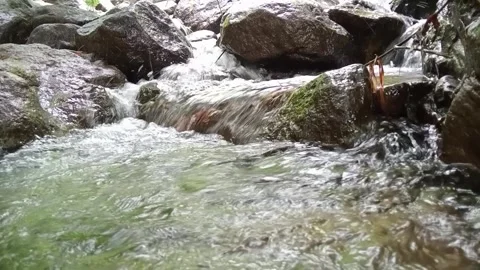 Mountain Stream Flowing Over Stones | Fresh Clear Water in Nature Stock Footage 330547526