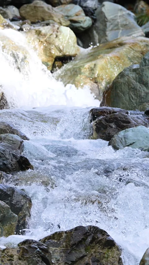 Mountain Stream Flowing Rapidly Over Rocky Riverbed Stockbeeldmateriaal 313460164