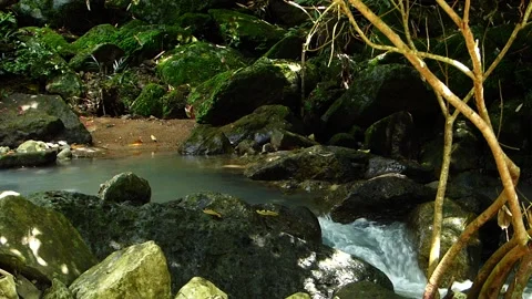 Mountain Stream Flowing on Rocks _(clip-000) Stock Footage 140552243