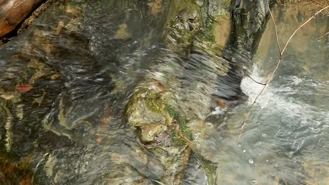 Mountain stream flowing in the rocks. Clear water. Stock Footage 101317940