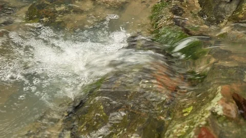 Mountain stream flowing in the rocks. Stock Footage 101317969