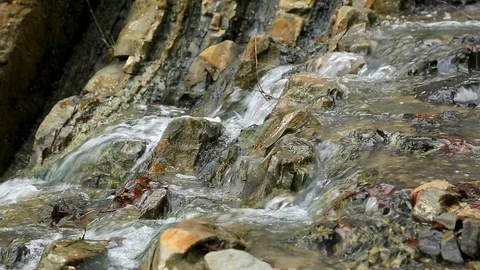 Mountain stream flowing in the rocks. Stock Footage 101317985