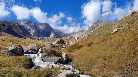 Mountain Stream Flowing through Alpine Valley in Carpathians 写真素材