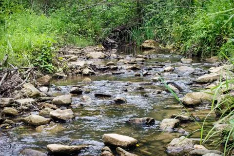 Mountain stream flowing through the forest. 写真素材