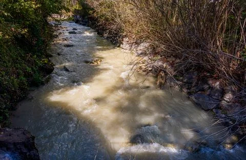 Mountain Stream Flowing Through Forest with Rocks and Vegetation 스톡 사진