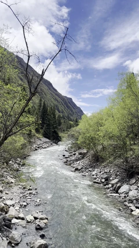Mountain stream flowing through a forested valley under blue sky Stock Footage 337820263