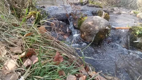 Mountain Stream Flowing Through Grass and Boulders Stock Footage 320534264