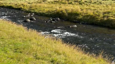 Mountain stream flowing through grassy landscape near Fjallsarlon Glacier Stockbeeldmateriaal 346645597