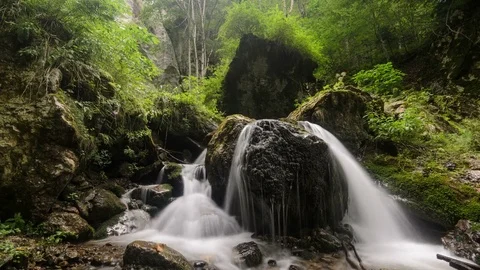 Mountain stream flowing through green forest. 4k timelapse. Stock Footage 77139531