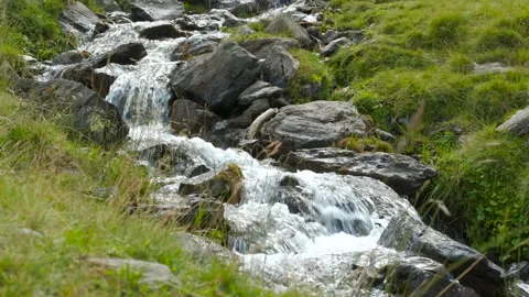 Mountain stream flowing through green meadow Stock Footage 301244525