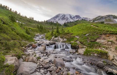 Mountain stream flowing through green valley with snow-capped peak in background Stockfoto's
