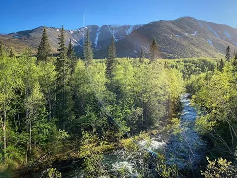 Mountain stream flowing through green forest under blue sky Stock Photos