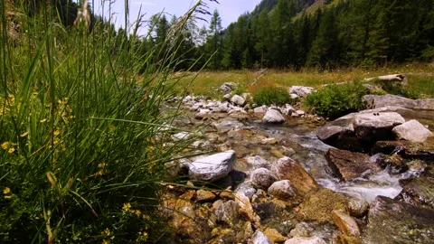 Mountain stream flowing through juicy grasslands of Kaponig valley in Austri Video stock 158612869