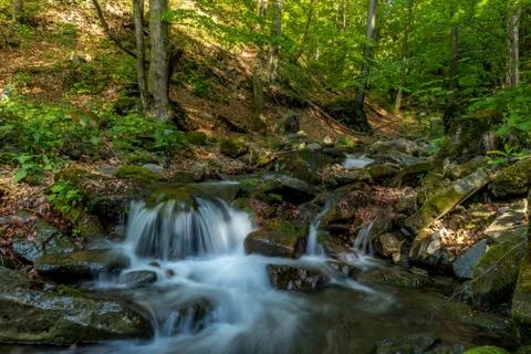 A mountain stream flowing through a landscape in a dense forest captured by l Stockfoto's