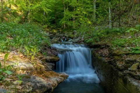 A mountain stream flowing through a landscape in a dense forest captured by l Stock-Fotos