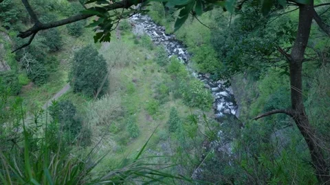 Mountain stream flowing through a lush green valley Stockbeeldmateriaal 333695986