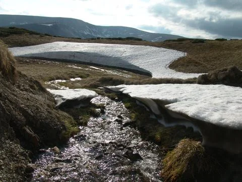 Mountain stream flowing through melting snowdrifts on a grassy highland slope Stock Photos